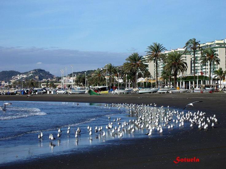 Apartamento El Bambu Cerca Del Mar Малага Екстер'єр фото
